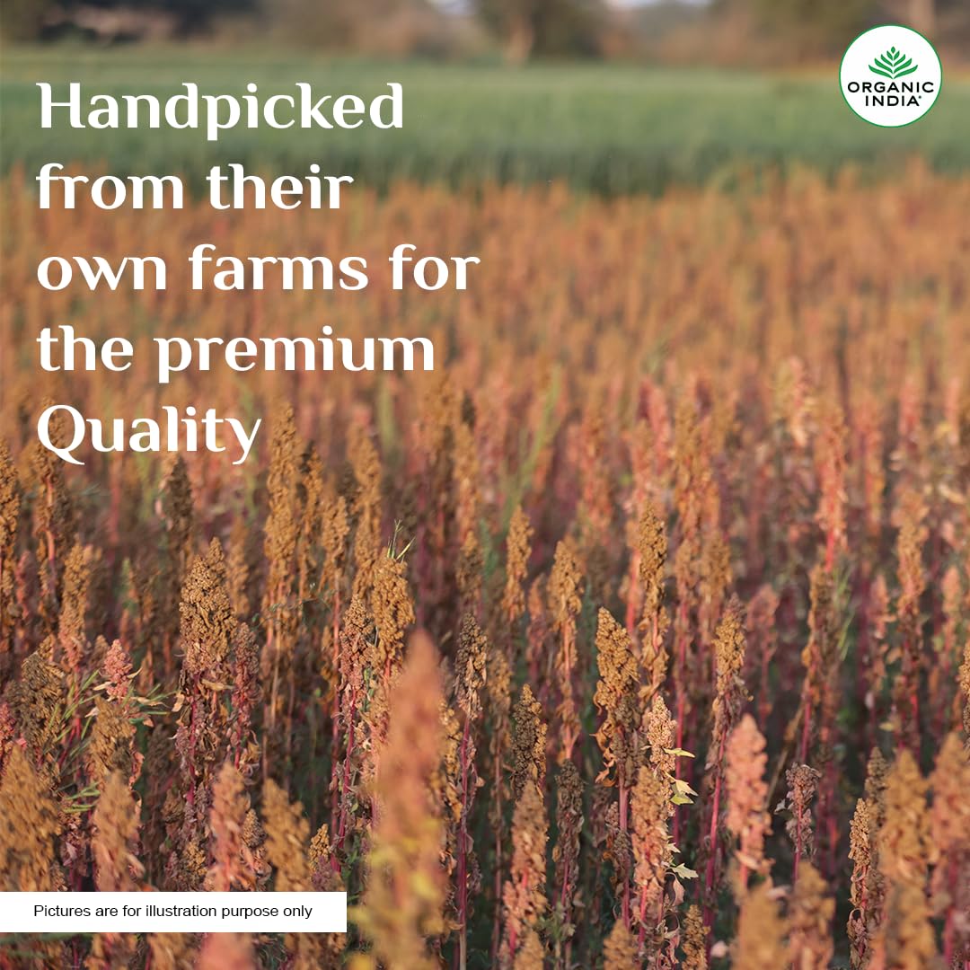 Quinoa | Protein-Rich, High in Dietary Fiber, Gluten-Free, Whole Grain | Cholestrol Free & Low Fat | Easy to Make | Packed with Vitamins & Minerals | 500g