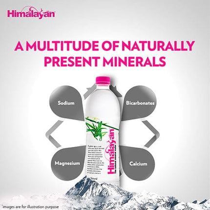 Himalayan Natural Mineral Water, 1000 ml (Pack of 12 bottles)