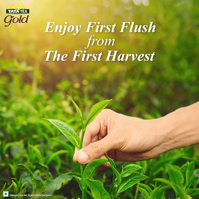 Tata Tea Gold First Flush, 250g, Roasted Long Leaf Tea, Rich Taste & Smoky Aroma