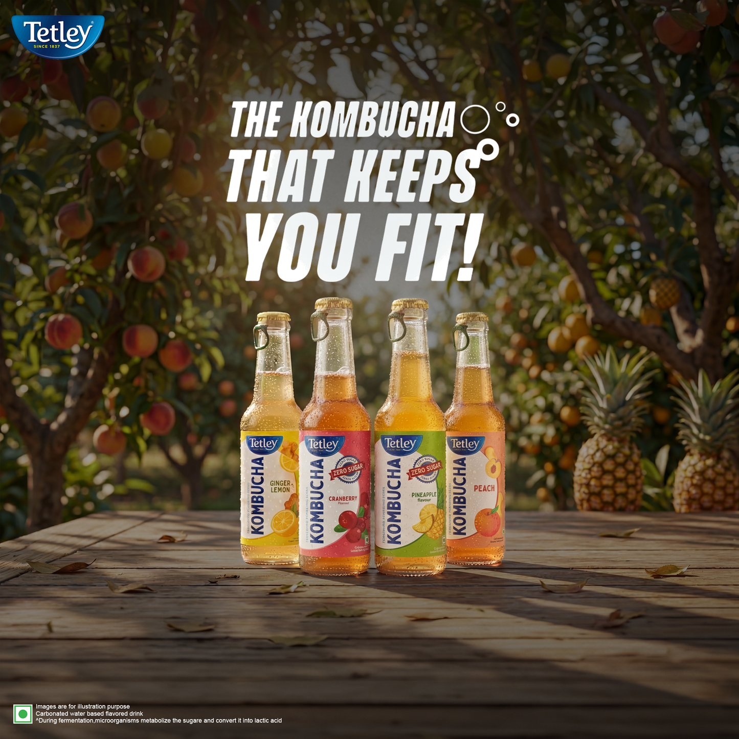 Tetley Kombucha Pineapple | 265 ml